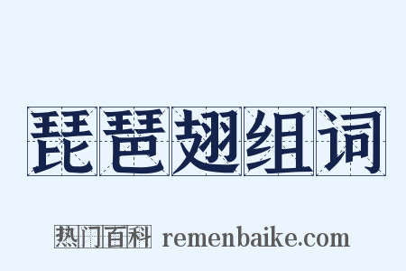 琵琶翅组词是什么意思的图片
